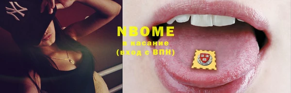 мдпв Верхний Тагил