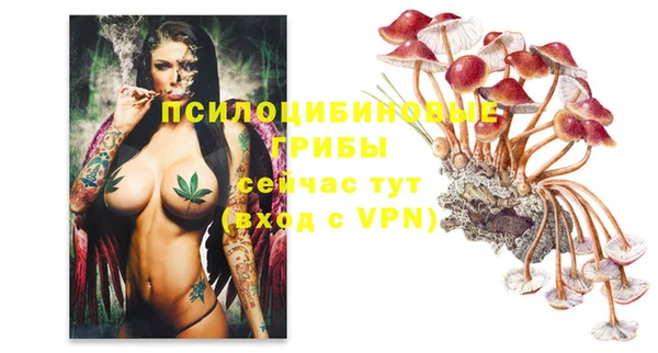героин Верея