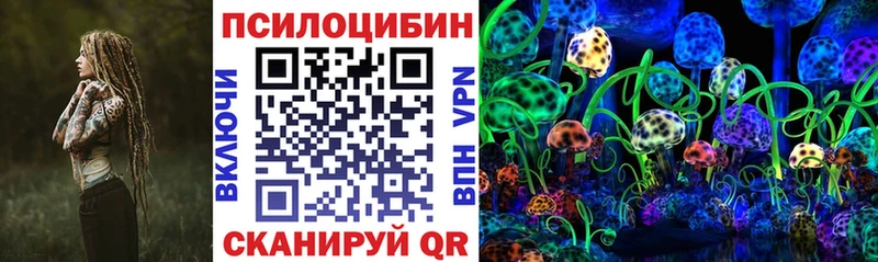 Псилоцибиновые грибы Psilocybe Вязники